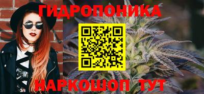 гашик Лесосибирск