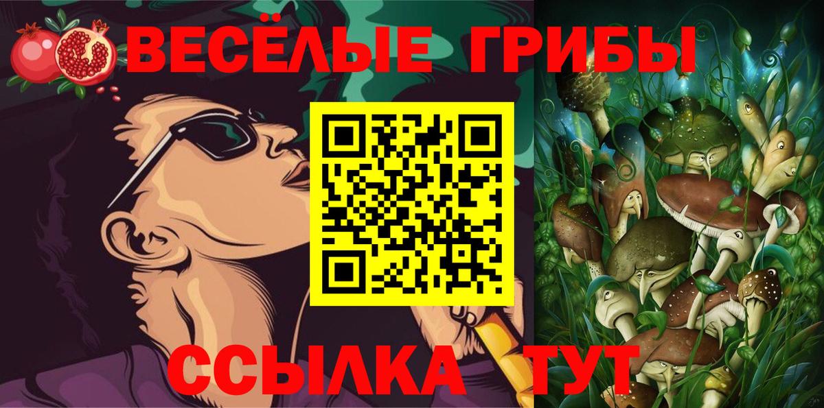 Галлюциногенные грибы прущие грибы Кирово-Чепецк